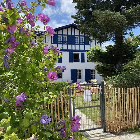 Hotell Kaliko
